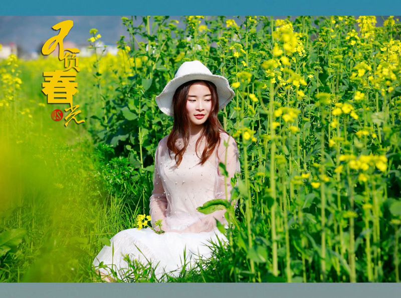 不負(fù)春光  不負(fù)卿矣